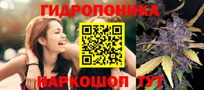 марки lsd Гусиноозёрск