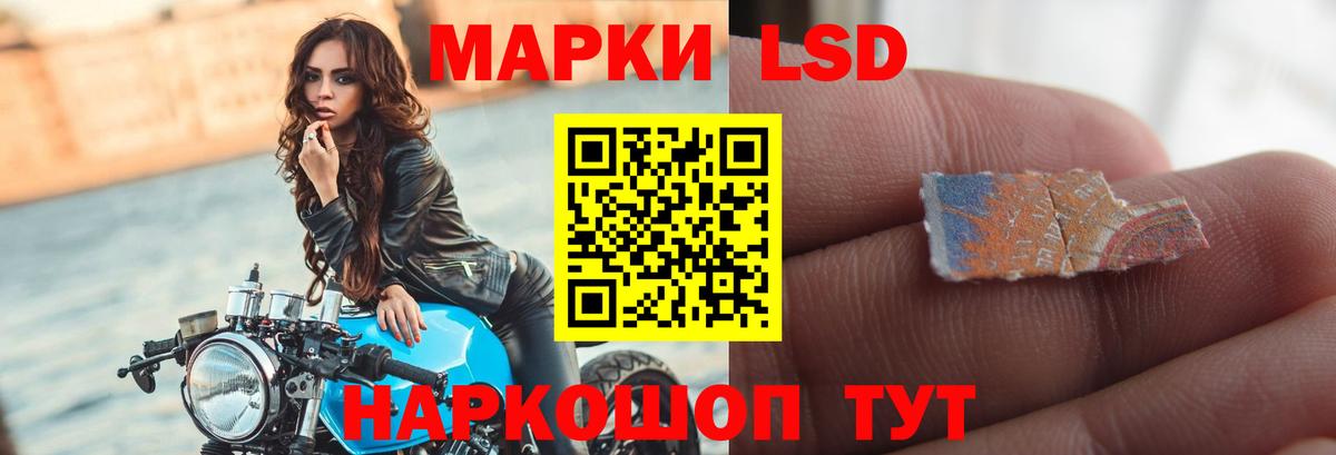 Майкоп  Лсд 25 экстази кислота  Вход с VPN  Лсд 25 экстази кислота 